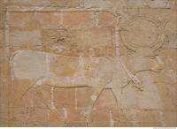 Photo Texture of Hatshepsut 0244